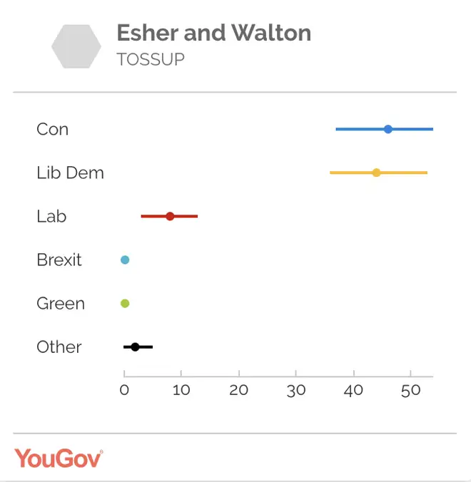 Dominic Raab's constituency - Esher and Walton