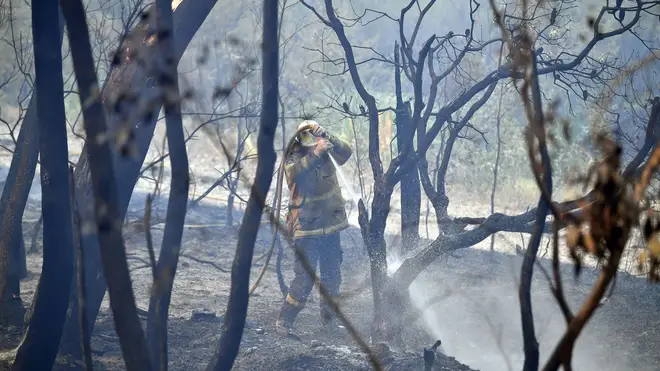 A firefighter works in Dargan, 130 kilometres northwest of Sydney