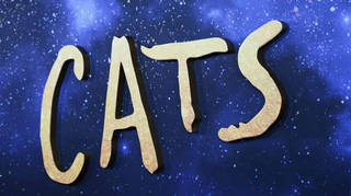 The cats film has been savaged by critics
