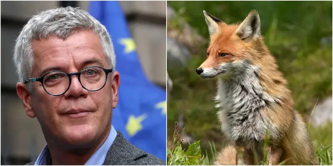 Top barrister tweeted that he had killed a fox