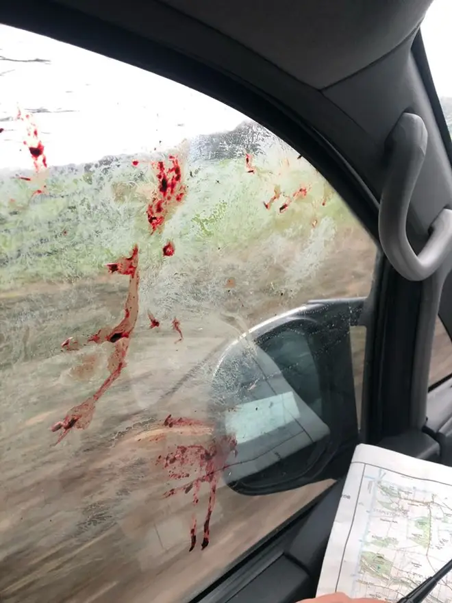 Blood is shown on the outside of the window