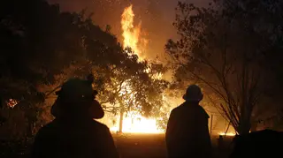 Fires have been raging across Australia