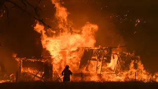 Australia's Rural Fire Service fight the blazes