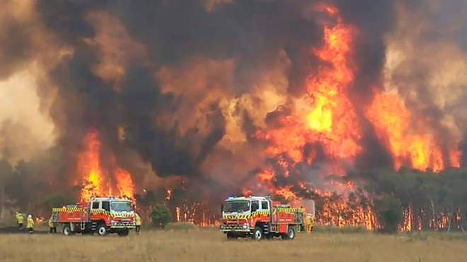 Blazes have ravaged the state of New South Wales