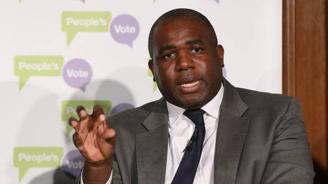 David Lammy said he didn't believe he would be right to lead the party over his stance on Brexit