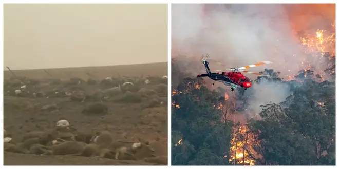 The wildfires have been raging across Australia since September