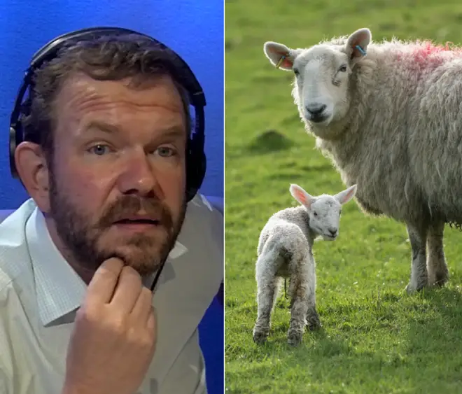 James O'Brien was schooled on Brexit by a farmer from Devon