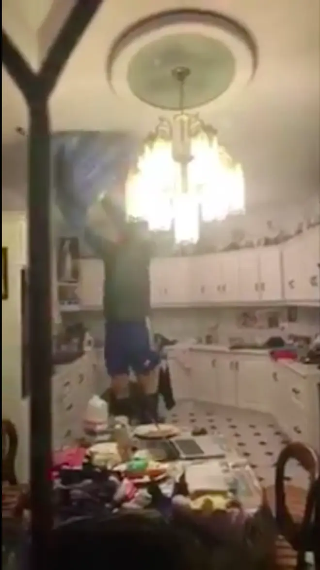 Irish family attempt to capture bat in their kitchen