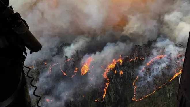 Fires have devastated Australia since September