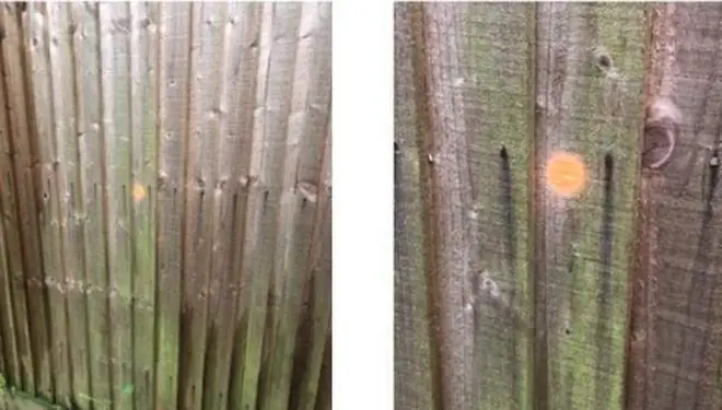 The criminals marked the fence with orange dots