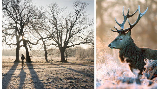 Britain is set to be blanketed in frost across the weekend