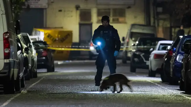 A police sniffer dog at the scene of the triple murder in east London