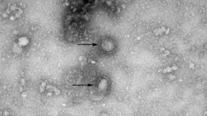 The Coronavirus could mutate, authorities have warned
