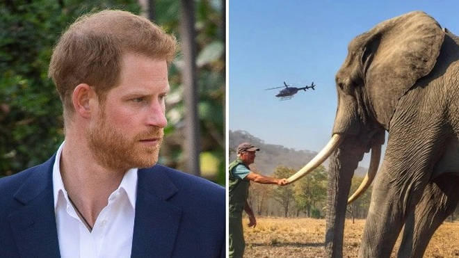 Prince Harry has lost his complaint against the newspaper