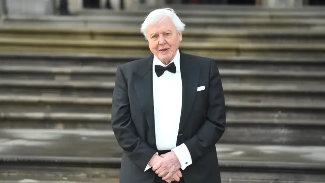 David Attenborough will be in the audience as the prime minister sets out the agenda