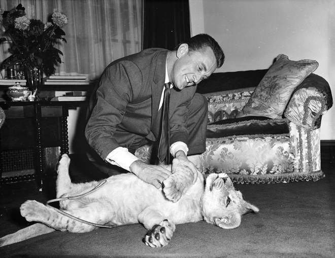 Kirk Douglas with a lion cub called Spartacus which was presented to him by the director of Southport zoo in appreciation of Douglas' film role