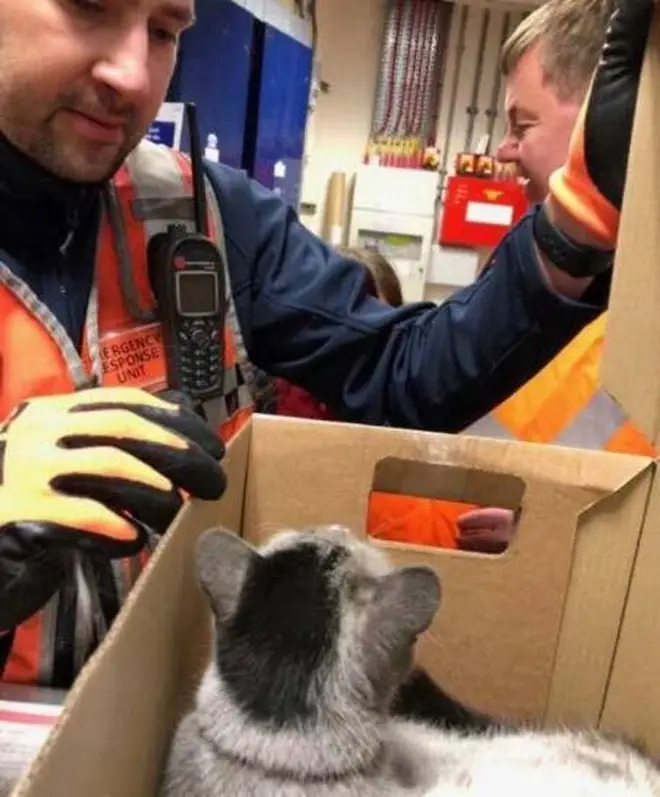 He was rescued by workers at Tufnell Park