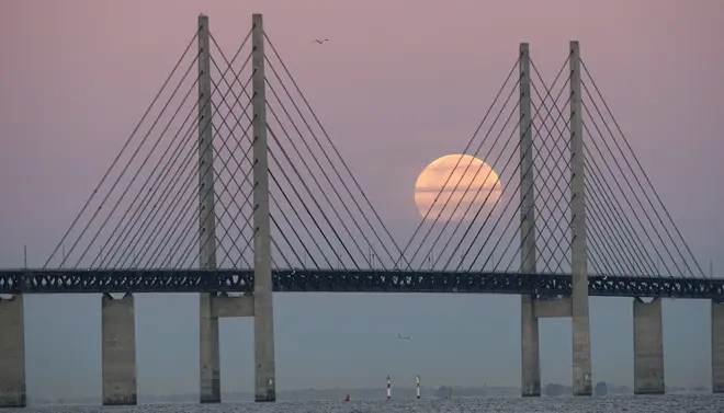 One version of the project would be modelled on the Oresund Bridge between Denmark and Sweden