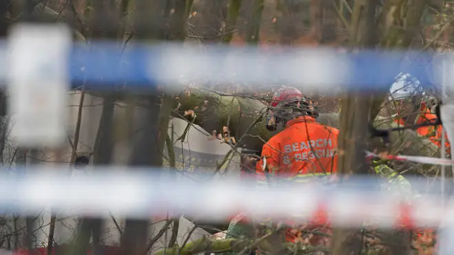 A dog walker has died after being hit by a falling tree