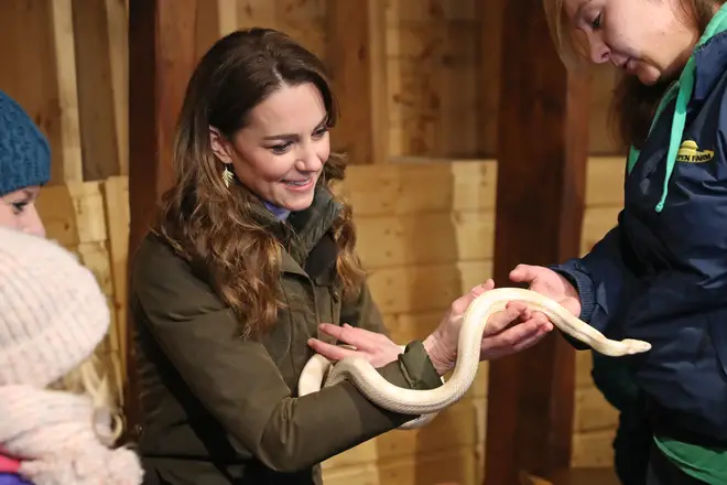Kate handled a corn snake during the trip