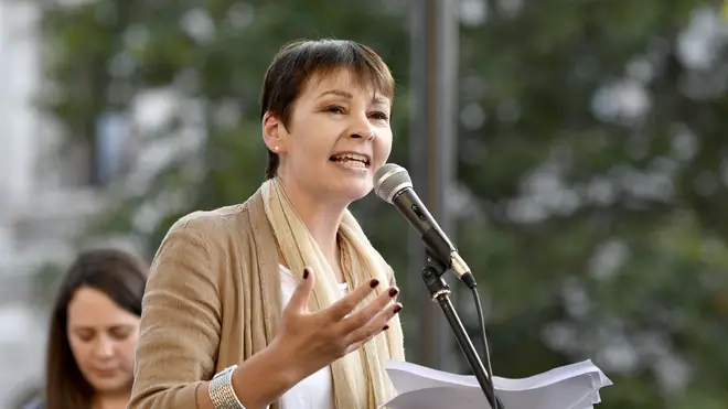 Caroline Lucas is being investigated after allegedly charging £150 for tours of the House of Commons