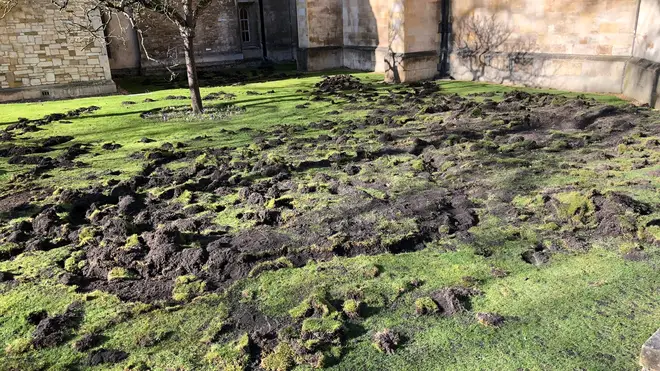 The lawn at Trinity College was torn up on Monday