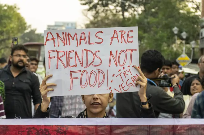 A protester holds a placard saying animals are friends not...