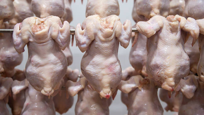 Chlorinated chicken has proven to be controversial in a US trade deal