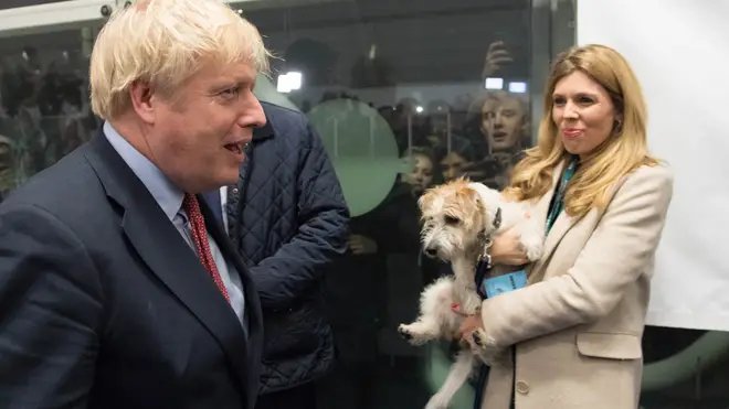 Boris Johnson and Carrie Symonds rescued Dilyn in 2019