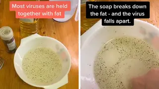 This experiment cleverly shows how soap protects you from coronavirus