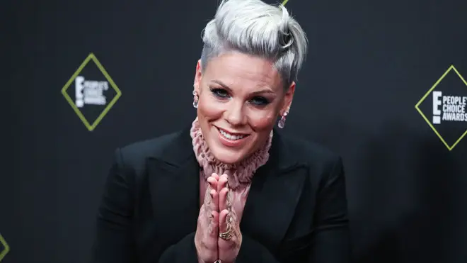 Pink donated $1m in the US's fight against the virus