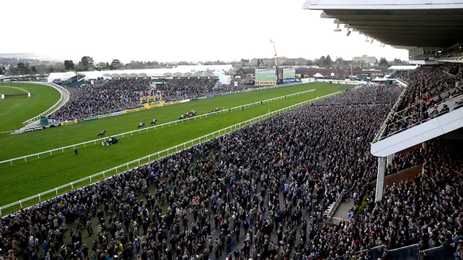 A huge crowd at this year's Cheltenham Festival