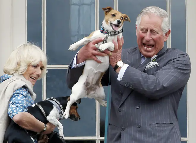 Both dogs were rescued by Battersea Dogs and Cats Home, of which Camilla is royal patron.