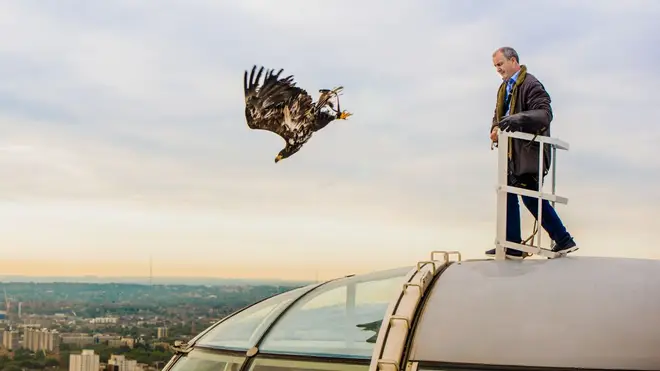 The moment an eagle was released from the top of the Coca-Cola London Eye