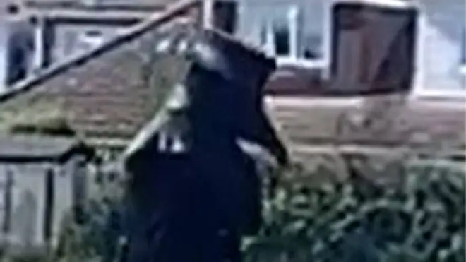 A man dressed as a 17th century plague doctor is sought by police