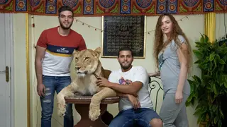 Ashraf el-Helw (second-right) with five-year-old African lion Joumana
