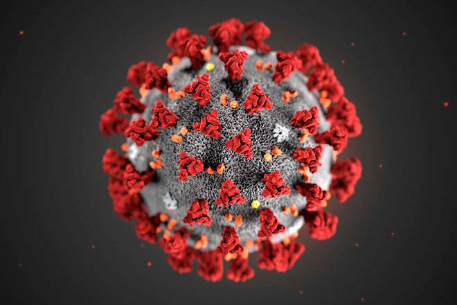 Illustration of the ultrastructure of the Covid-19 virus