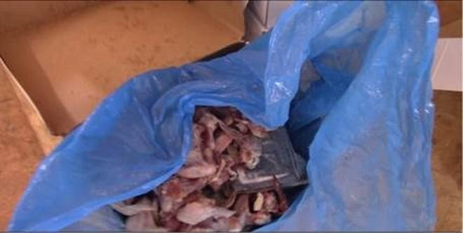 The cocaine was hidden inside bags of frozen chicken