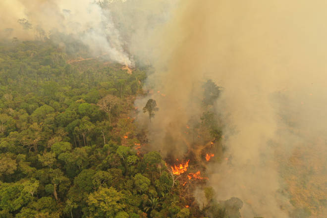 Fire burning in Porto Velho, Brazil, one of the world's oldest and most diverse tropical ecosystems and one of the most endangered on the planet