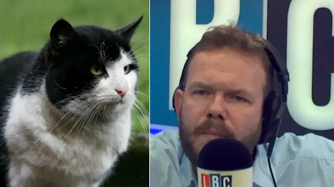 James O'Brien responded wonderfully to people who criticised a caller for having a cat whilst on benefits