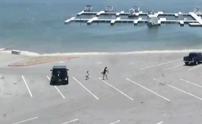 Police have released CCTV of the star and her son walking to the lake