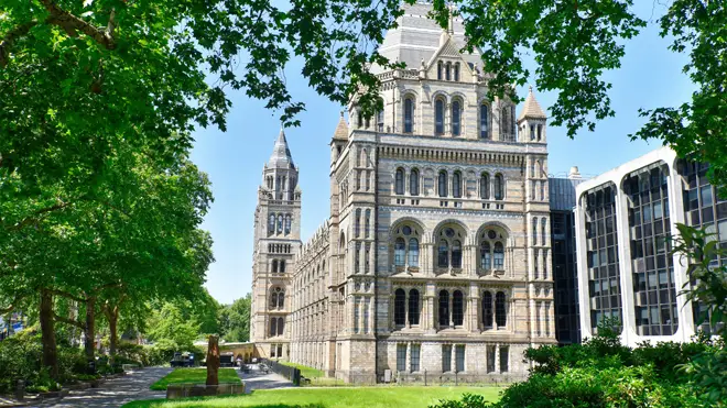 The Natural History Museum will reopen in August