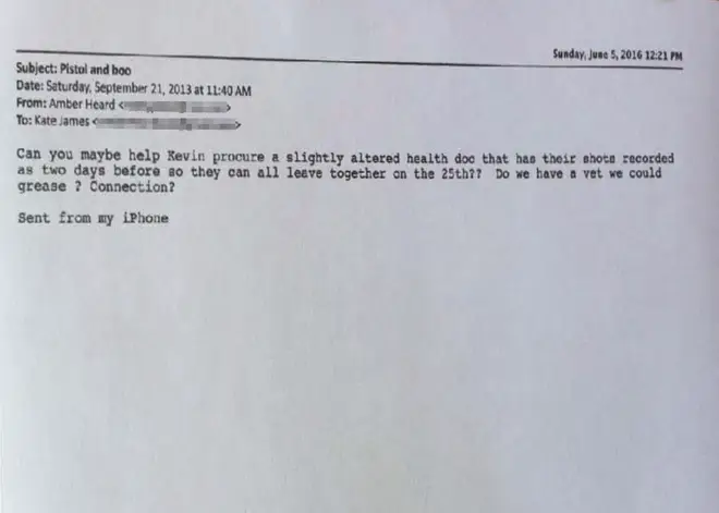 An email was shown in court Kate James claims was sent to her by Amber Heard about her dogs' medical records