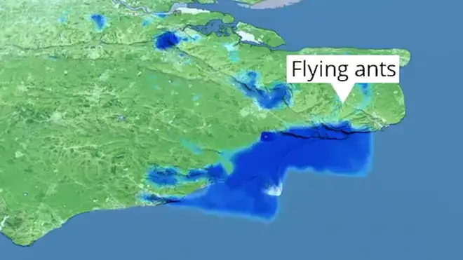 The blue spots over the south coast are not patches of rain but in fact flying ants