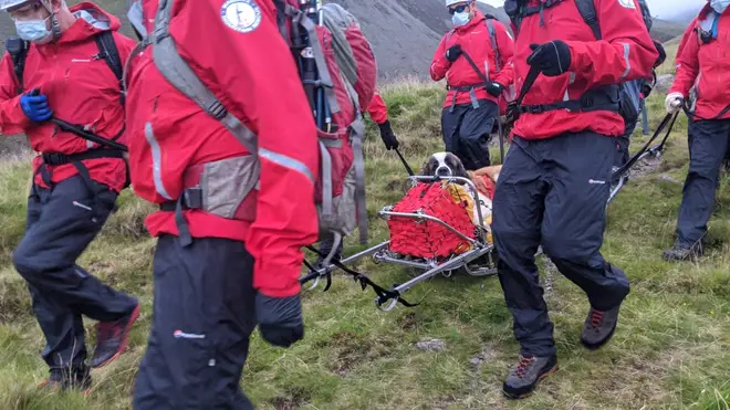 Members of Wasdale Mountain Rescue Team rescuing Daisy the St Bernard