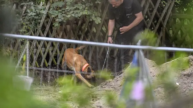 Dogs are seen working at the sight where German authorities have been found