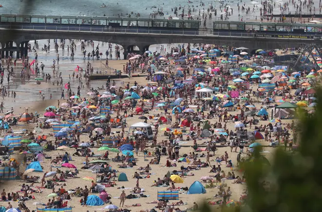 Councils are concerned beaches are becoming 'unmanageable' after a day of chaos