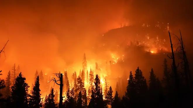 Tens of thousands of acres have been burned in the fires