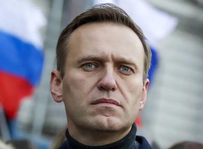 Alexei Navalny fell ill on a flight to Moscow and was in an induced coma