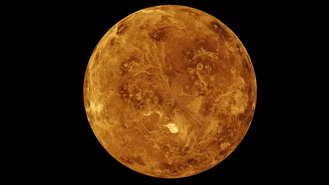 Signs of life on Venus